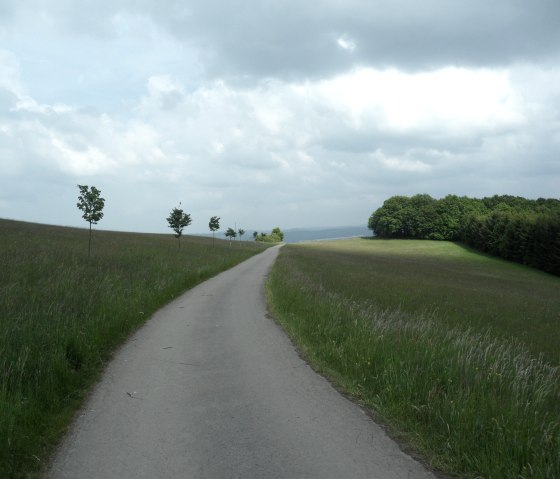 weg-zum-kottenborner-kreuz, © Gerd Spitzlay