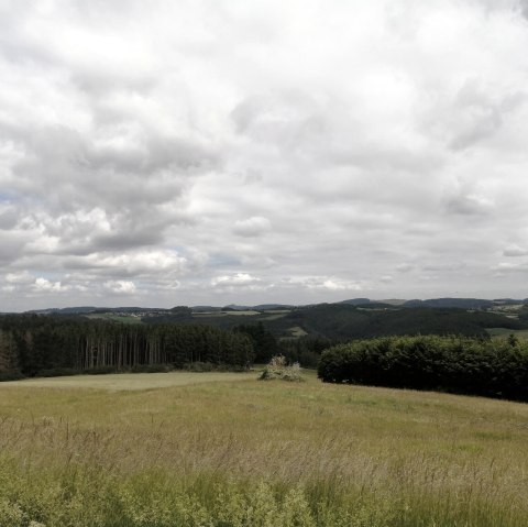 Fernsicht Winnerather Höhe1, © Tourist-Information Hocheifel-Nürburgring, DannySchmitz