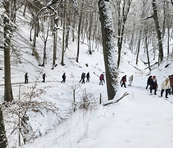 Winter wandern, © Bernd Backes