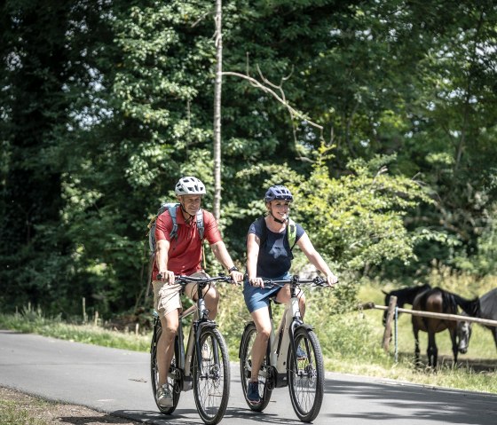 zwei Radfahrer im Vordergrund , rechts eien Weide mit Pferden im Hintergrund Bäume