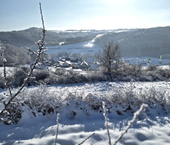 Wirft im Schnee 1, © Frank Hoffmann