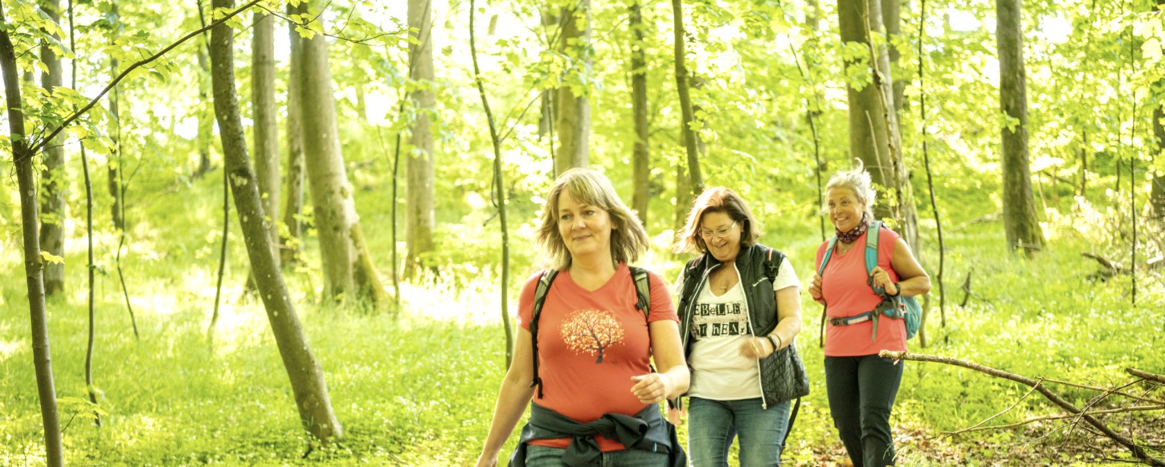 Drei Wanderer in einer Waldlichtung am Nürburgring.Der Wald leuchtet hell grün 