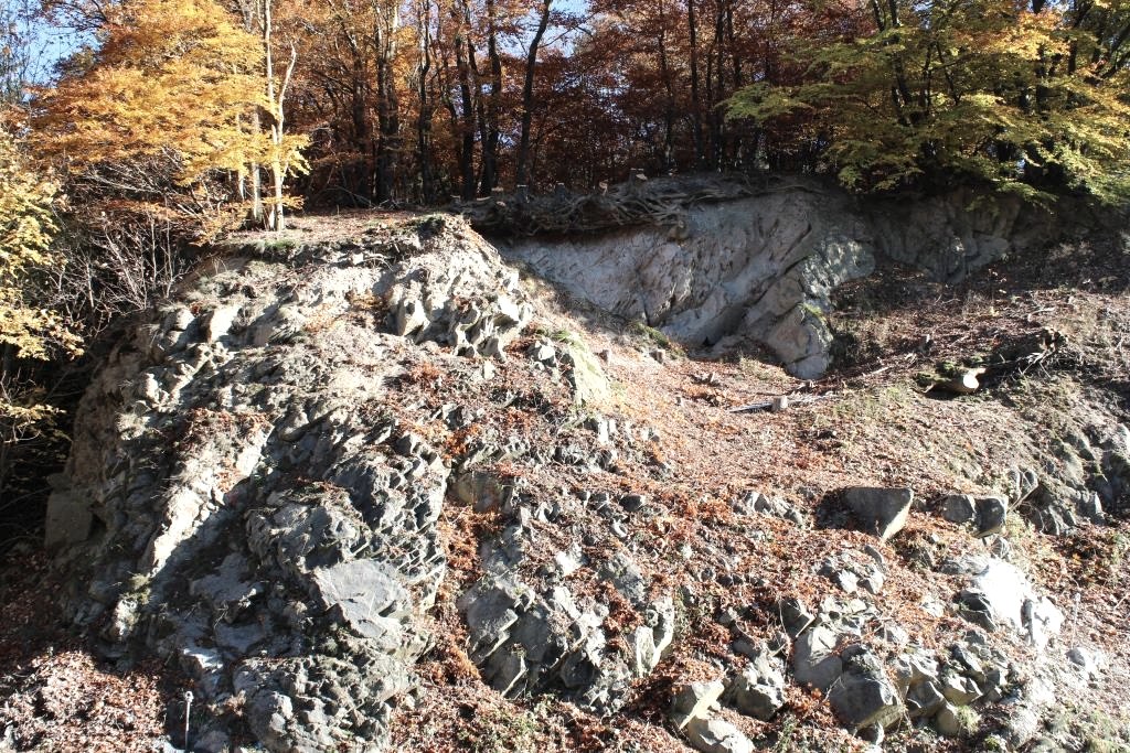 Der Selberg in Quiddelbach im Herbst, © Walter Schmitz