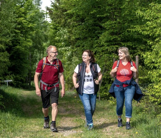 Wandergruppe in der Eifel, © Eifel Tourismus ET,Dominik Ketz