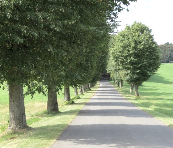 Allee in Aremberg, © Verbandsgemeinde Adenau