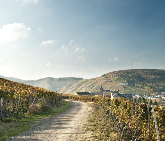 AhrSteig mit Blick zum Kloster Kalvarienberg in Ahrweiler, © Ahrtaltourismus, Dominik Ketz