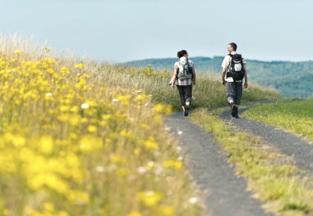 Wandern in der Eifel, © Ahrtaltourismus e.V.