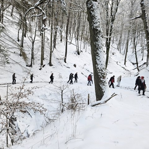 Winterwanderung, © Bernd Backes