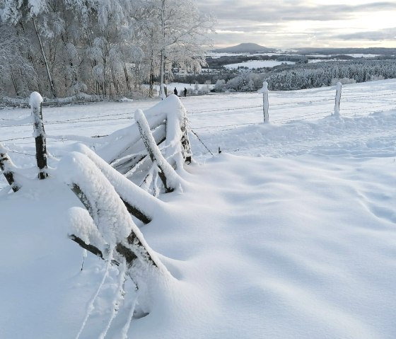 Winterwanderung, © Daniela Schmitz