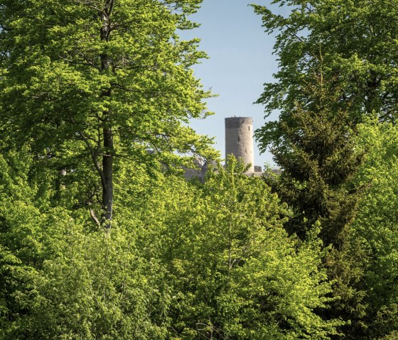 Aussichtsturm Bergfried der Burgruine Nürburg, © TI Hocheifel-Nürburgring, D. Ketz