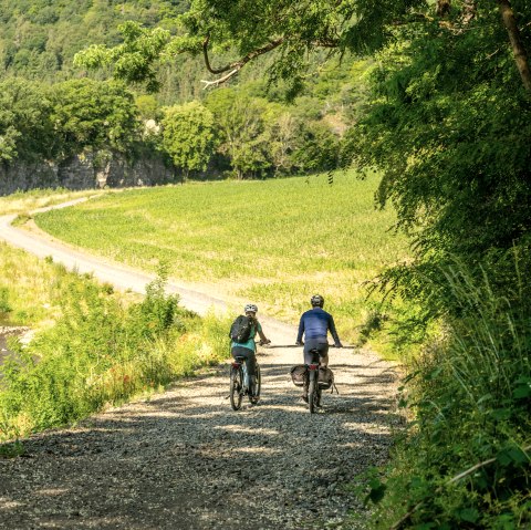 Ahr-Radweg Eifel &amp; Ahrtal am Prümer Tour in Insul , © Eifel Tourismus GmbH, Dominik Ketz