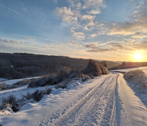 Wirft im Schnee 6, © Frank Hoffmann