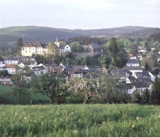 Blick auf Daun, Ziel der Mineralquellen-Route, © Gesundland Vulkaneifel