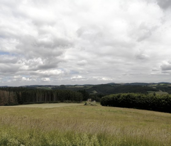 Fernsicht Winnerather Höhe1, © Tourist-Information Hocheifel-Nürburgring, DannySchmitz