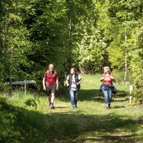 Wanderwege rund um den Nürbrurgring, © TI Hocheifel-Nürburgring, D. Ketz