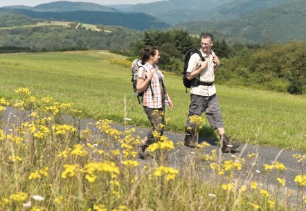 Wandern im Sommer, © Ahrtaltourismus e.V.