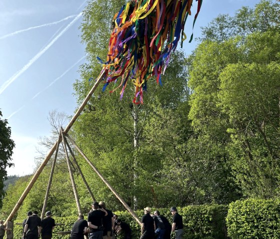 Aufstellen des Maibaums, © Daniela Scheffold