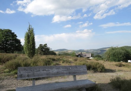 Wacholder in der Eifel, © Traumpfad Wacholderweg © Svenja Schulze-Entrup