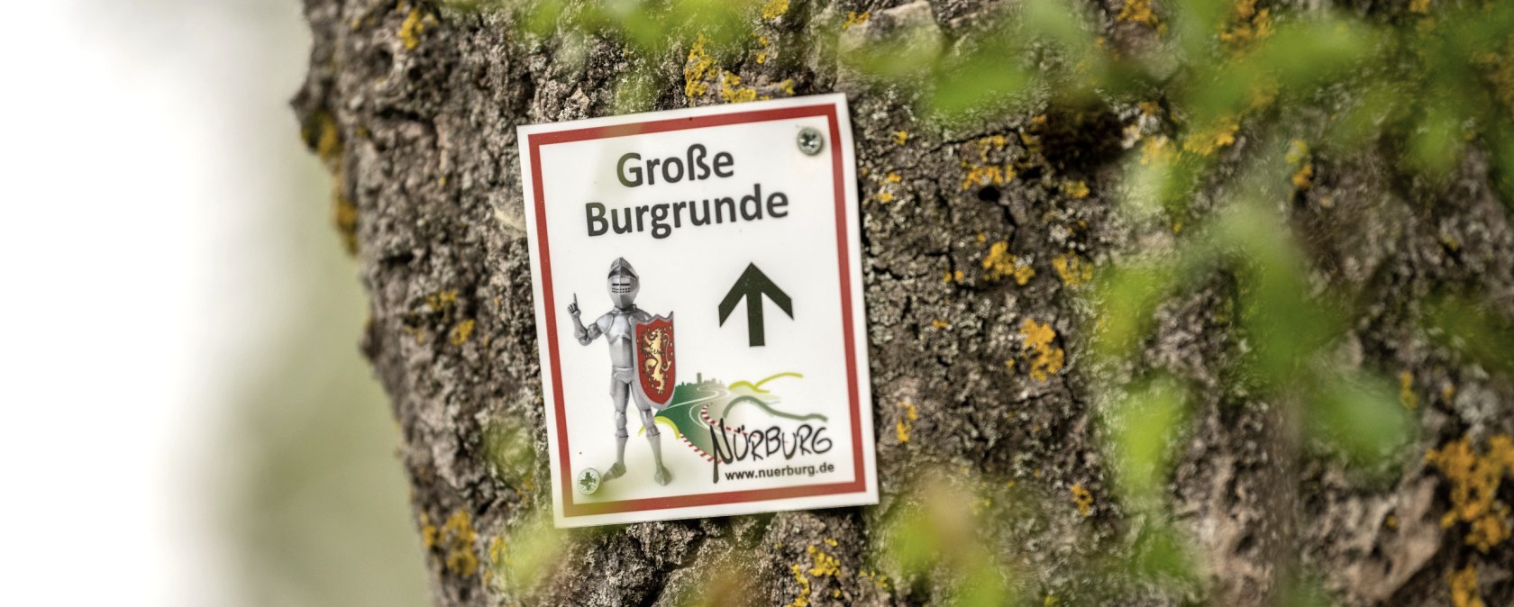 Rundwanderweg um die Burgruine Nürburg , © TI Hocheifel-Nürburgring,D.Ketz 