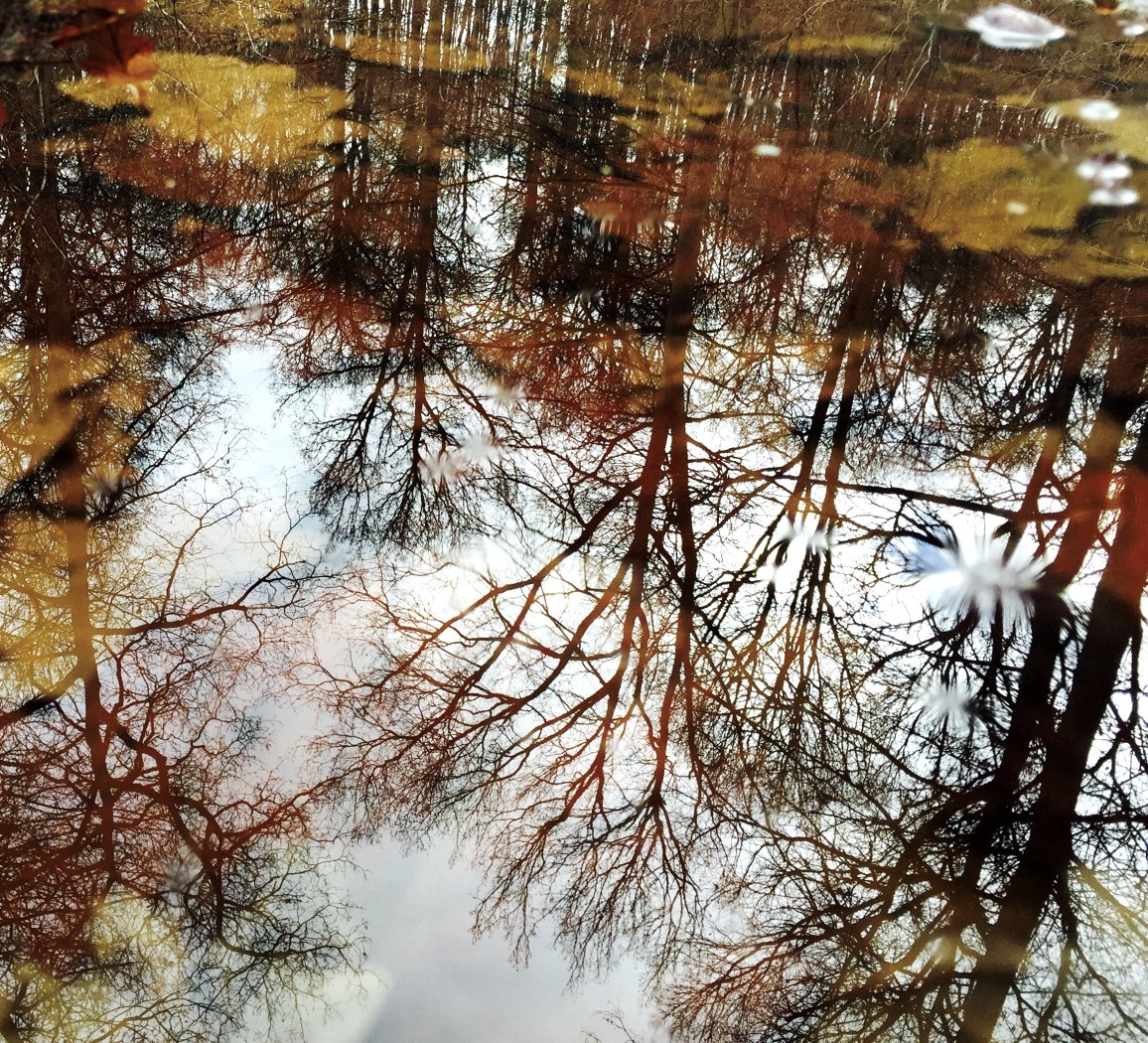 Herbst in der Eifel. Ein Farbenspiel der Natur! Herbstzauber, © Sebastian Schulte