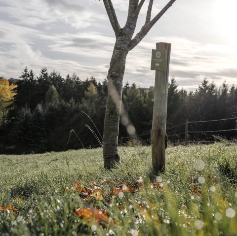 Waldretter Wanderweg 