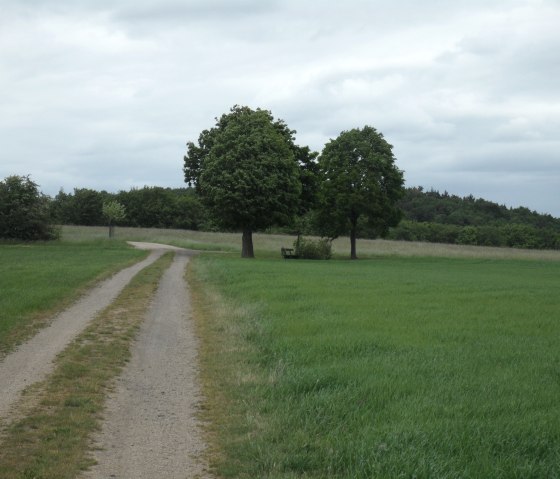 wandern-rund-um-schuld, © Gerd Spitzlay