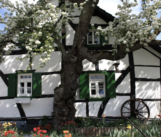 Dörferblick-Schleife Pomster Fachwerkhaus, © Walter Schmitz