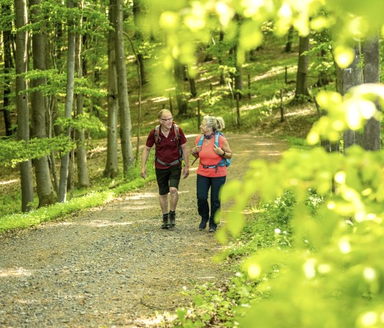 Hocheifel-2022-099-Nürburg, © Eifel Tourismus ET , Dominik Ketz