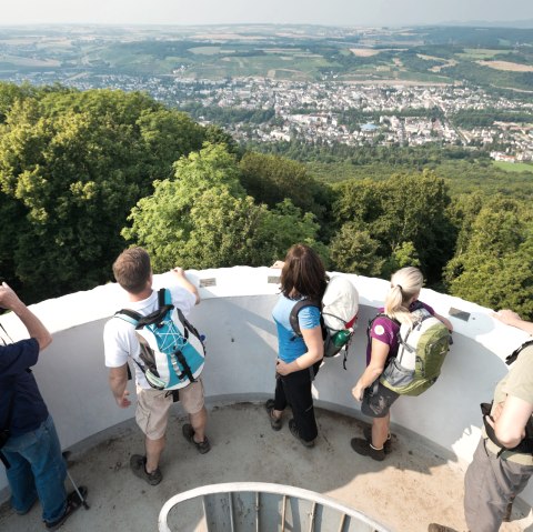 AhrSteig Neuenahrer-Berg, © Ahrtaltourismus e.V.