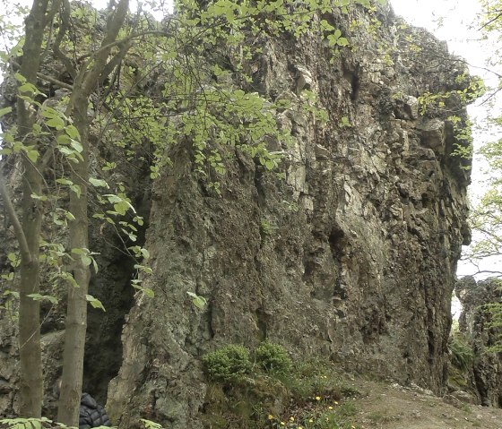 Teufelsley Naturblick, © TI Hocheifel-Nürburgring,Rita Kaiser