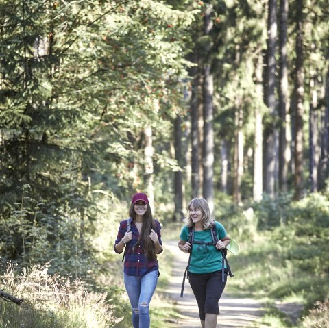 Wandern in der Hocheifel am Nürburgring, © Tourist-Information Hocheifel-Nürburgring,Jonathan_Andrews