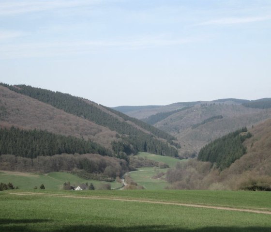 Vue sur la romantique vallée du Kesseling, © A. Bell