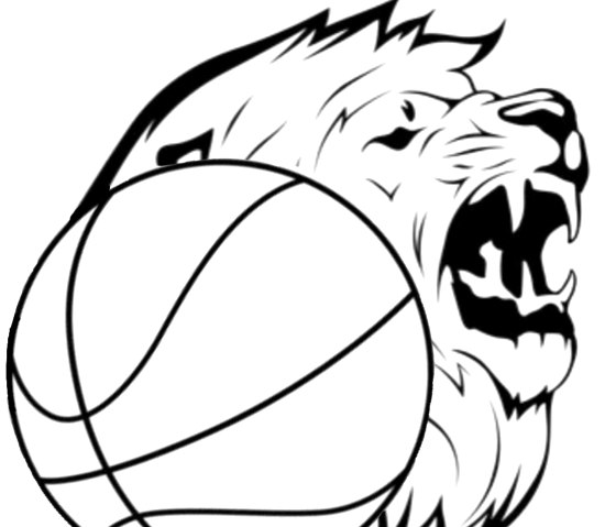 Baskets Lions Logo, © TuWiAdenau©BasketsLionsAdenau