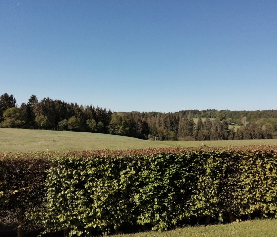 Naturblicke aus dem Wohnzimmer, © Ferienwohnung Eifelzeiten,Gossen