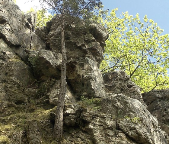 Teufelsley Aufstieg, © TI Hocheifel-Nürburburgring, Rita Kaiser