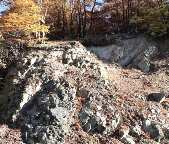 Der Selberg in Quiddelbach im Herbst, © Walter Schmitz