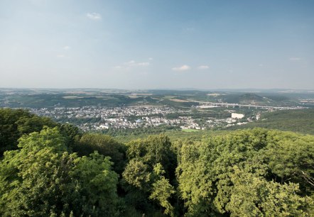 AhrSteig Neuenahrer-Berg, © Ahrtaltourismus e.V.