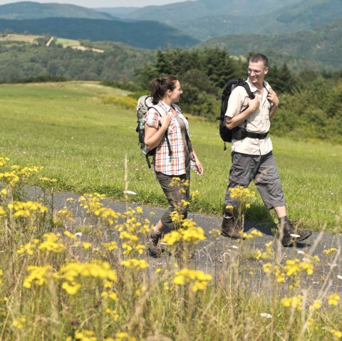 Wandern im Sommer, © Ahrtaltourismus e.V.