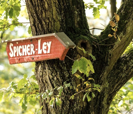 Spicher Ley, © Ahrtal-Tourismus Bad Neuenahr-Ahrweiler e.V., Dominik Ketz