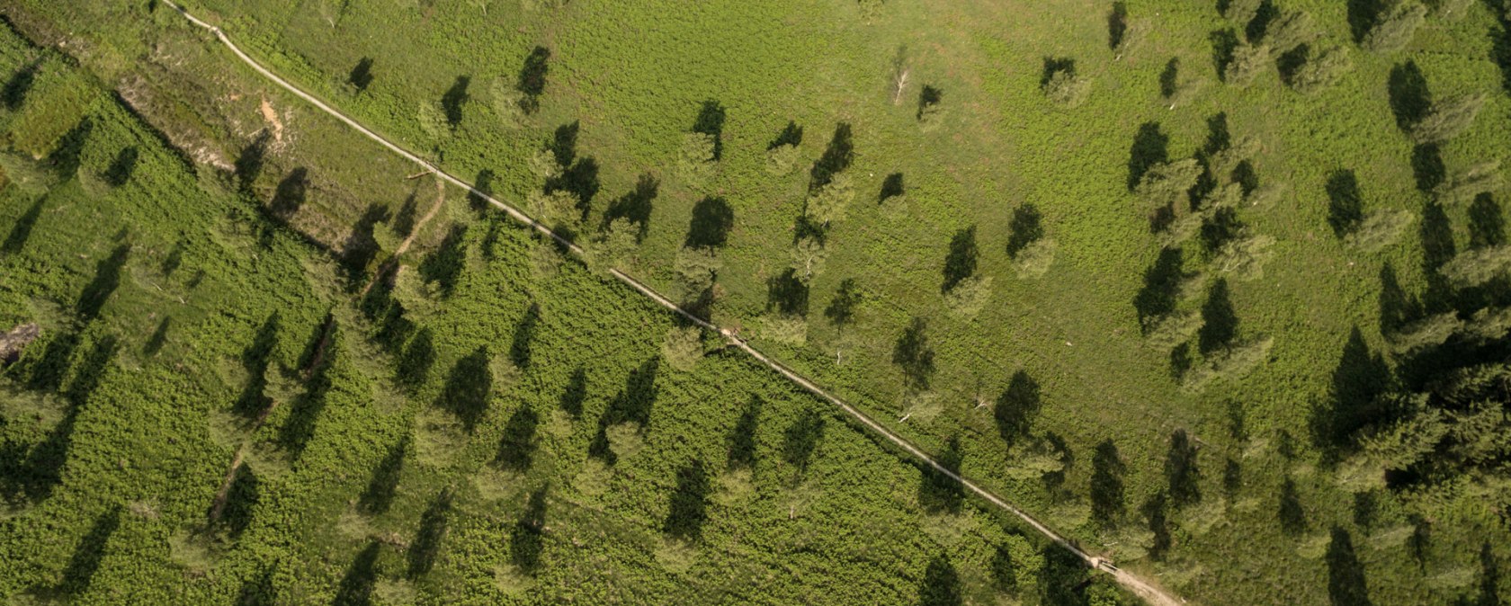 Luftansicht der Struffelt Heide am Eifelsteig, © Eifel Tourismus GmbH, D. Ketz