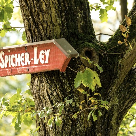 Spicher-Ley_AhrSteig, © Dominik_Ketz