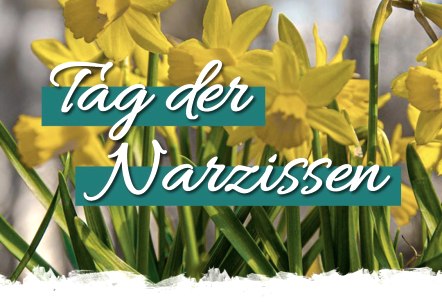 Tag der Narzissen, © Gärten für Auge&Seele©WalterSchmitz