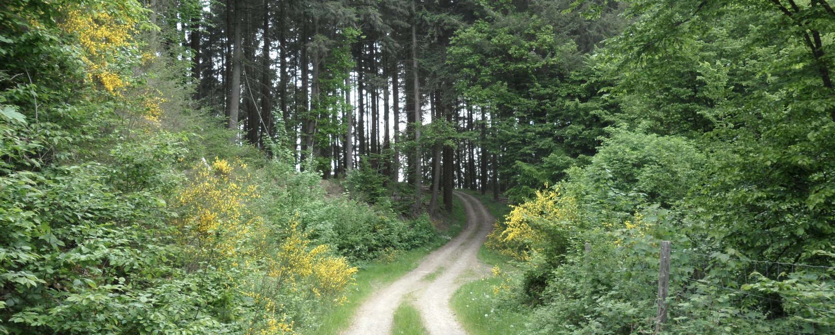 aufstieg-nach-wershofen, © Gerd Spitzlay