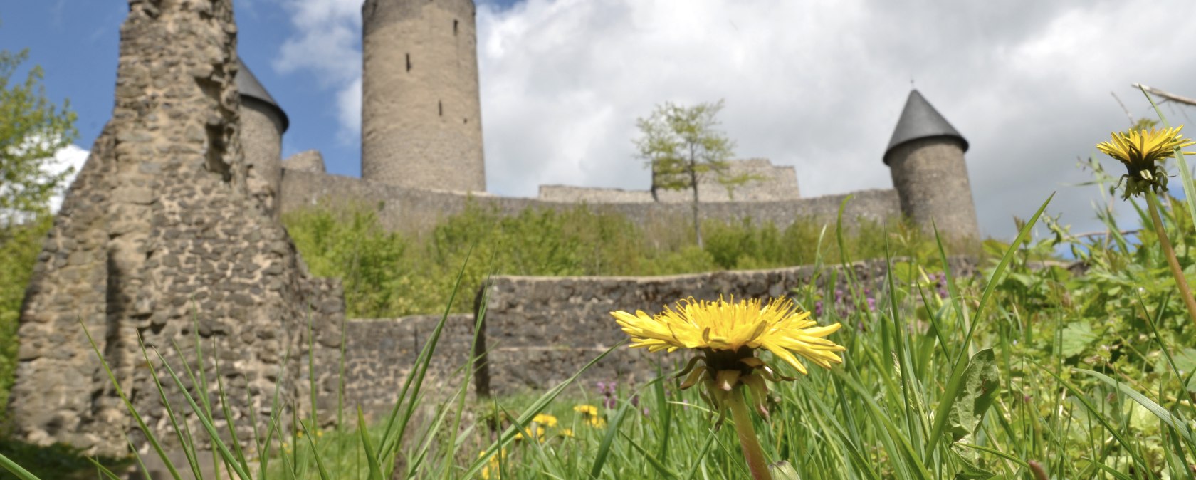 Ansicht Nürburg mit Löwenzahn, © Meik Halbach