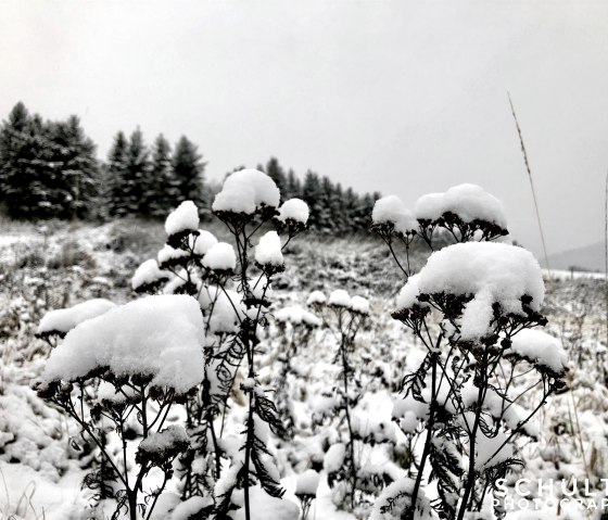 Winterstimmung, © Sebastian Schulte