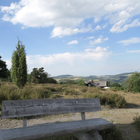 Wacholder in der Eifel, © Traumpfad Wacholderweg © Svenja Schulze-Entrup