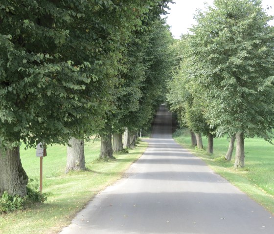 Baumallee in Aremberg, © Verbandsgemeinde Adenau