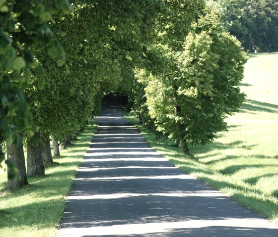 Lindenallee zur Schutzengelkapelle Aremberg, © TI Hocheifel-Nürburgring, VG Adenau