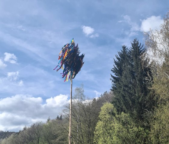 Maibaum in der Hocheifel, © Daniela Scheffold